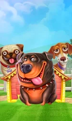 The Dog House