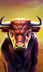 Black Bull